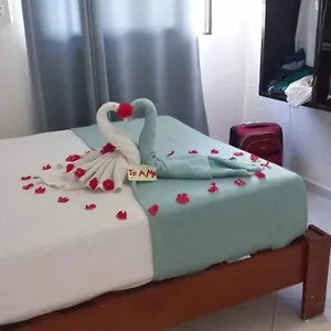 https://playa-y-mar-hotel.allrivieramayahotels.com